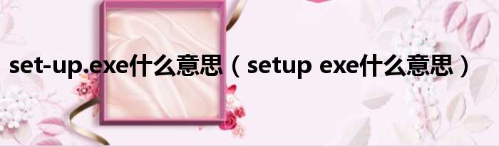 set-up.exe什么意思（setup exe什么意思）