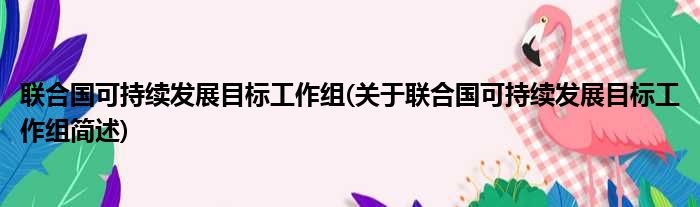 联合国可持续发展目标工作组(关于联合国可持续发展目标工作组简述)