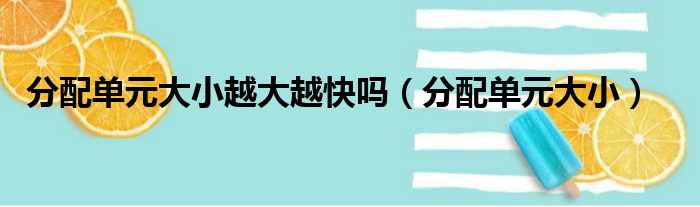 分配单元大小越大越快吗（分配单元大小）