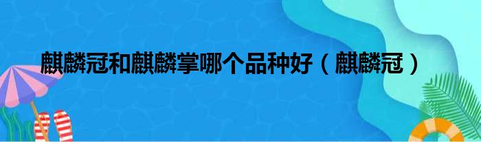 麒麟冠和麒麟掌哪个品种好（麒麟冠）