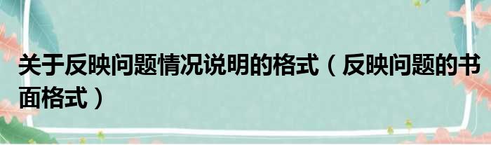 关于反映问题情况说明的格式（反映问题的书面格式）