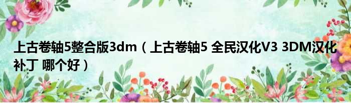 上古卷轴5整合版3dm（上古卷轴5 全民汉化V3 3DM汉化补丁 哪个好）