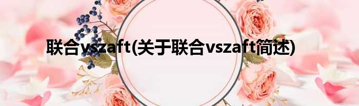 联合vszaft(关于联合vszaft简述)