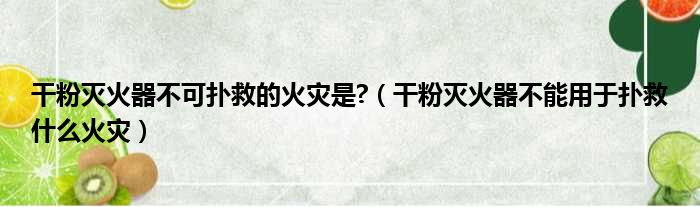 干粉灭火器不可扑救的火灾是?（干粉灭火器不能用于扑救什么火灾）