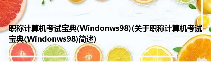 职称计算机考试宝典(Windonws98)(关于职称计算机考试宝典(Windonws98)简述)