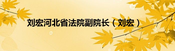 刘宏河北省法院副院长（刘宏）