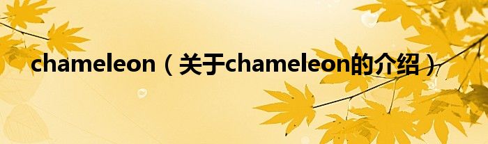 chameleon（关于chameleon的介绍）