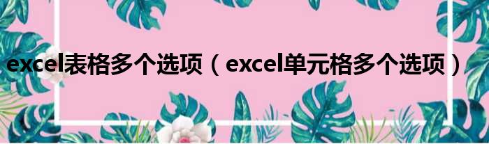 excel表格多个选项（excel单元格多个选项）