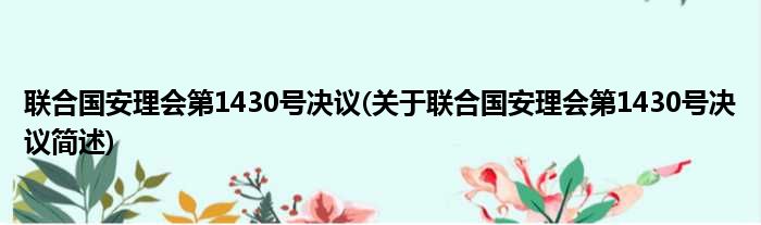 联合国安理会第1430号决议(关于联合国安理会第1430号决议简述)