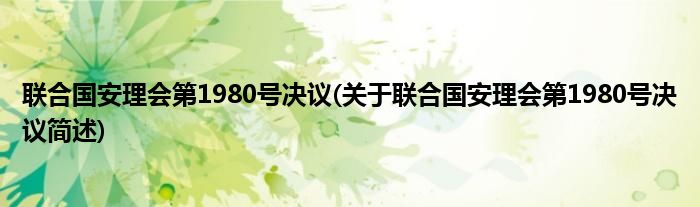 联合国安理会第1980号决议(关于联合国安理会第1980号决议简述)