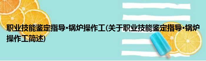 职业技能鉴定指导·锅炉操作工(关于职业技能鉴定指导·锅炉操作工简述)