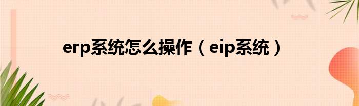 erp系统怎么操作（eip系统）