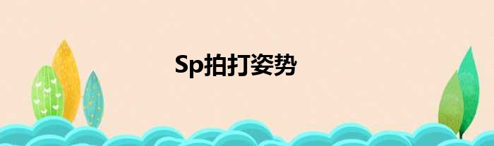 Sp拍打姿势