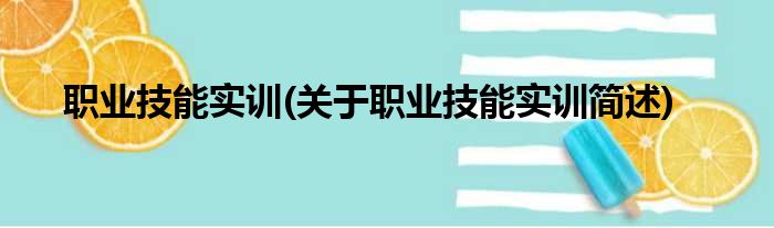 职业技能实训(关于职业技能实训简述)