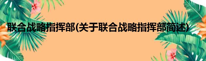 联合战略指挥部(关于联合战略指挥部简述)