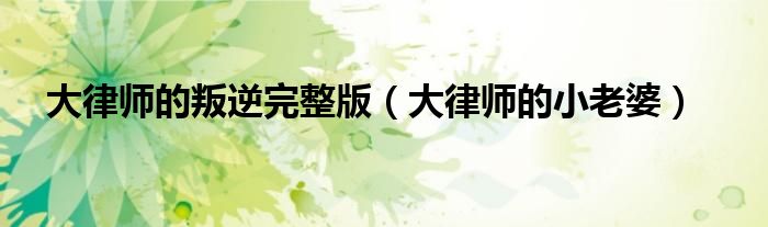 大律师的叛逆完整版（大律师的小老婆）