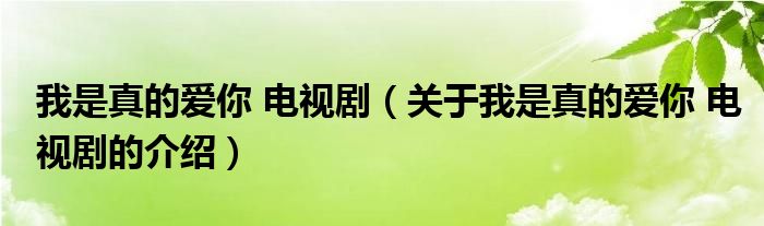 我是真的爱你 电视剧（关于我是真的爱你 电视剧的介绍）