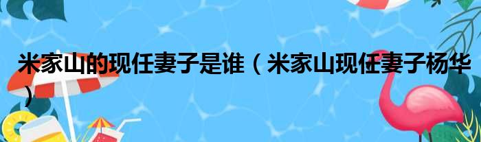 米家山的现任妻子是谁（米家山现任妻子杨华）