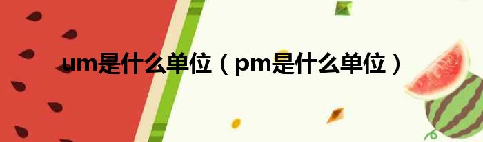 um是什么单位（pm是什么单位）