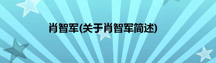 肖智军(关于肖智军简述)