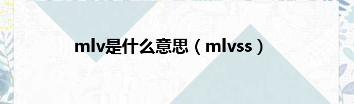 mlv是什么意思（mlvss）