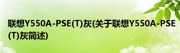 联想Y550A-PSE(T)灰(关于联想Y550A-PSE(T)灰简述)