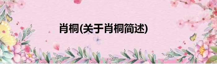 肖桐(关于肖桐简述)