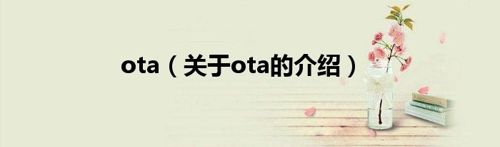 ota（关于ota的介绍）