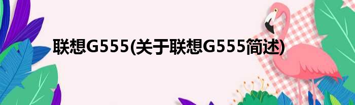 联想G555(关于联想G555简述)