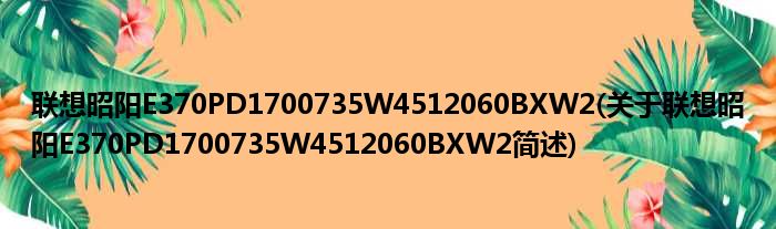 联想昭阳E370PD1700735W4512060BXW2(关于联想昭阳E370PD1700735W4512060BXW2简述)