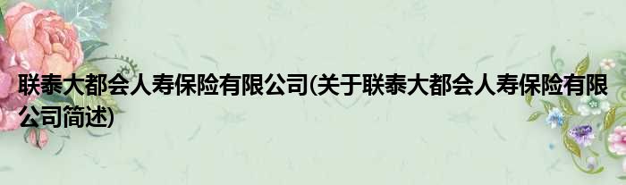 联泰大都会人寿保险有限公司(关于联泰大都会人寿保险有限公司简述)