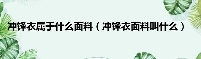 冲锋衣属于什么面料（冲锋衣面料叫什么）