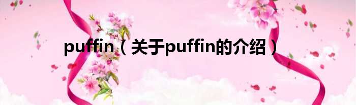 puffin（关于puffin的介绍）