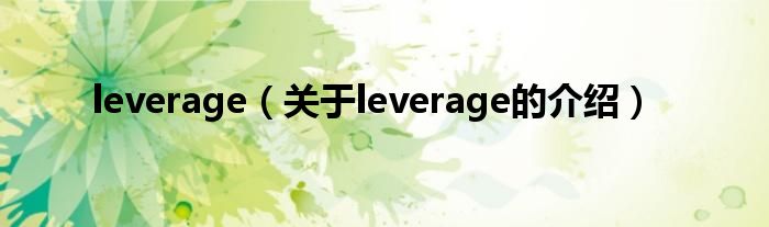 leverage（关于leverage的介绍）