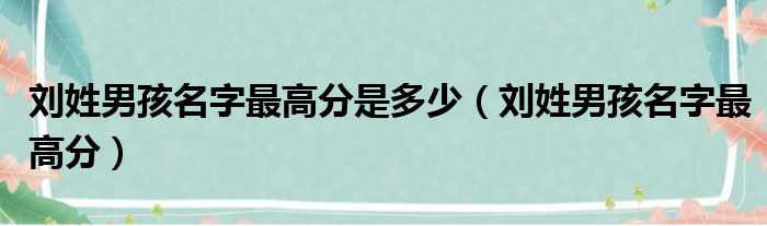 刘姓男孩名字最高分是多少（刘姓男孩名字最高分）