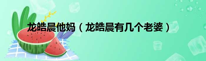 龙皓晨他妈（龙皓晨有几个老婆）