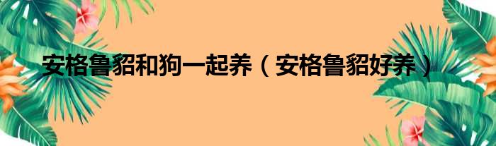 安格鲁貂和狗一起养（安格鲁貂好养）