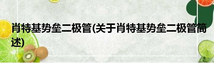 肖特基势垒二极管(关于肖特基势垒二极管简述)