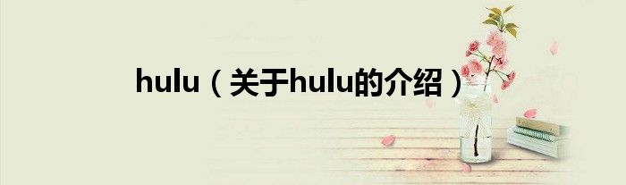 hulu（关于hulu的介绍）