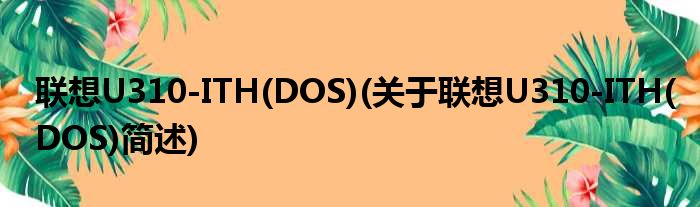 联想U310-ITH(DOS)(关于联想U310-ITH(DOS)简述)