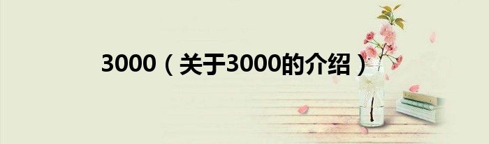 3000（关于3000的介绍）