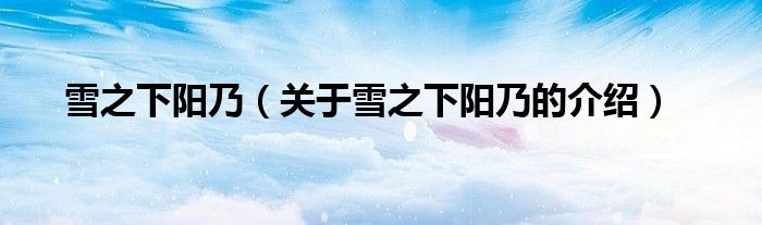 雪之下阳乃（关于雪之下阳乃的介绍）