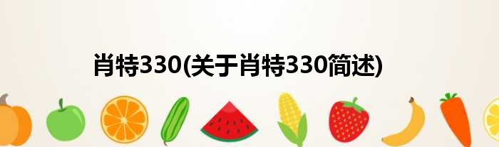 肖特330(关于肖特330简述)