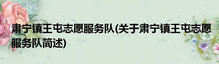 肃宁镇王屯志愿服务队(关于肃宁镇王屯志愿服务队简述)