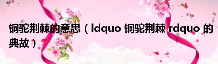 铜驼荆棘的意思（ldquo 铜驼荆棘 rdquo 的典故）