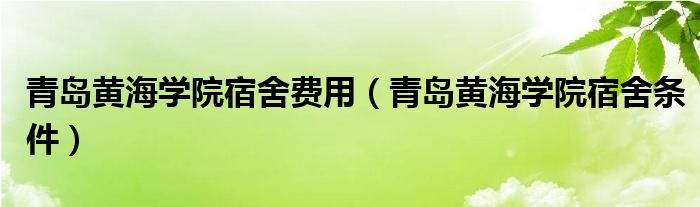 青岛黄海学院宿舍费用（青岛黄海学院宿舍条件）