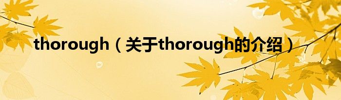 thorough（关于thorough的介绍）