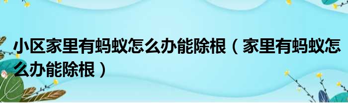 小区家里有蚂蚁怎么办能除根（家里有蚂蚁怎么办能除根）