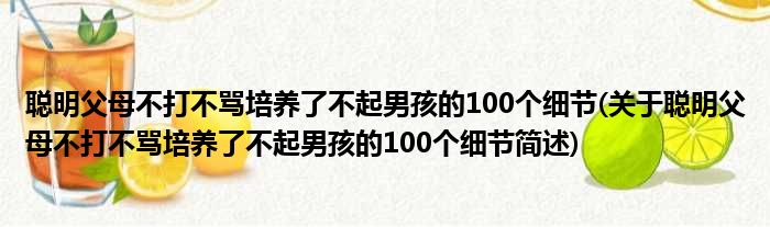 聪明父母不打不骂培养了不起男孩的100个细节(关于聪明父母不打不骂培养了不起男孩的100个细节简述)