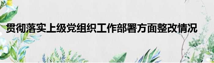 贯彻落实上级党组织工作部署方面整改情况